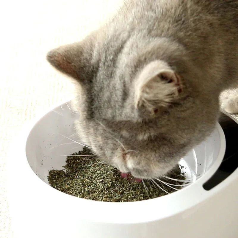 20g Simply Catnip Natural Organic Premium Catnip 20g/bag Catmint Menthol Flavor Can Be Sprinkled on Toys and Catnip Toys