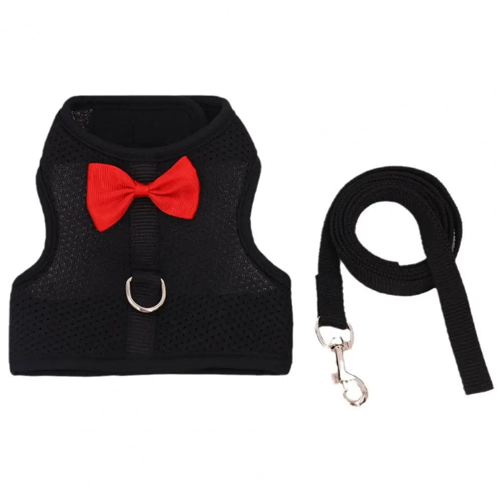 1 Set Pet Rabbit Harness Training Traction Leash Stylish Bow Decoration Small Pets Rabbit Traction Harness for Outdoor Walking