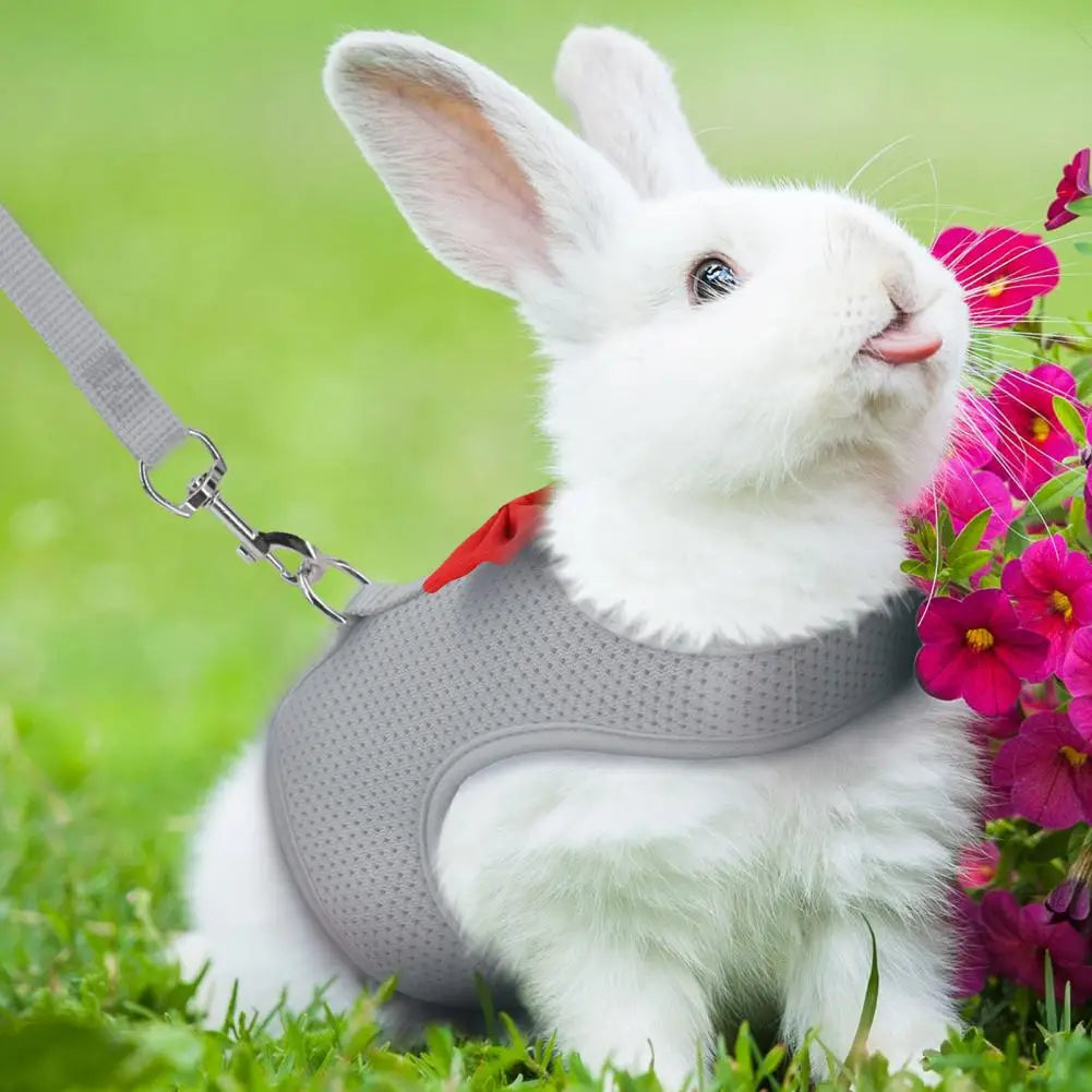 1 Set Pet Rabbit Harness Training Traction Leash Stylish Bow Decoration Small Pets Rabbit Traction Harness for Outdoor Walking