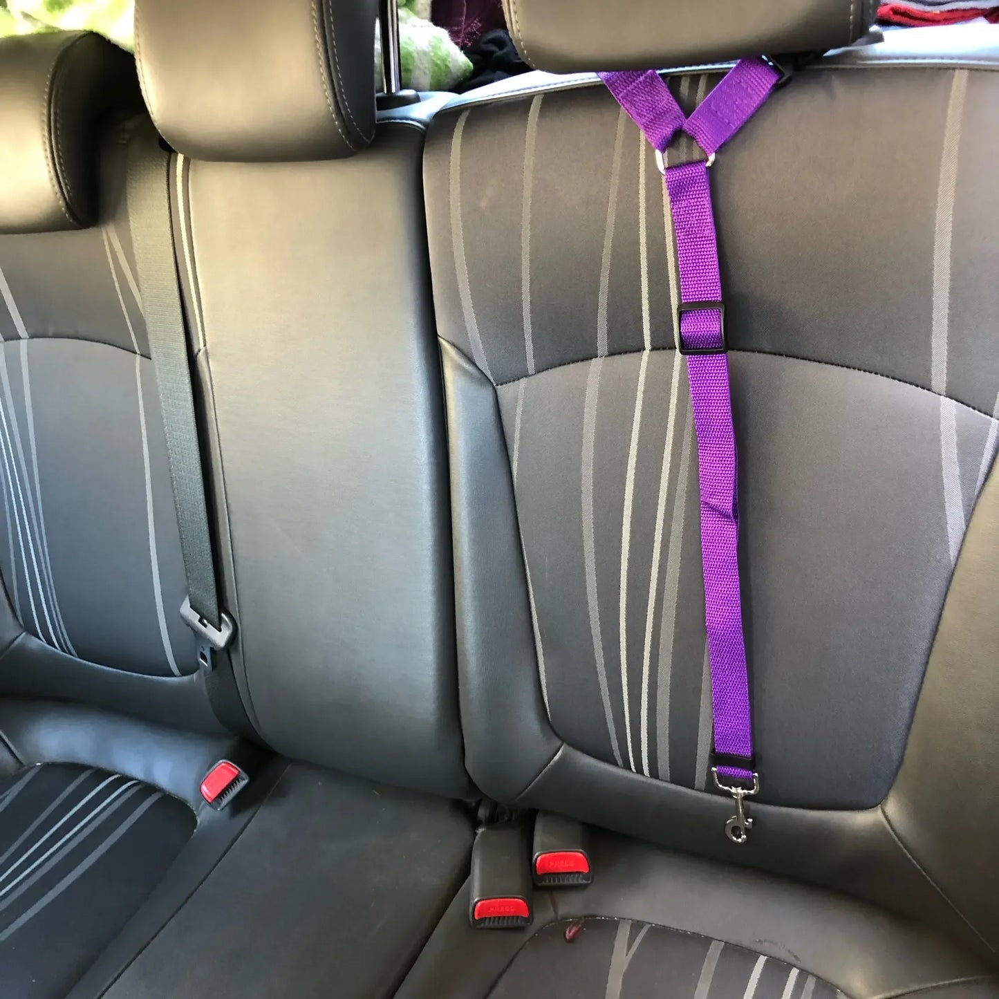 Solid Color Two-in-one Pet Car Nylon Seat Belt