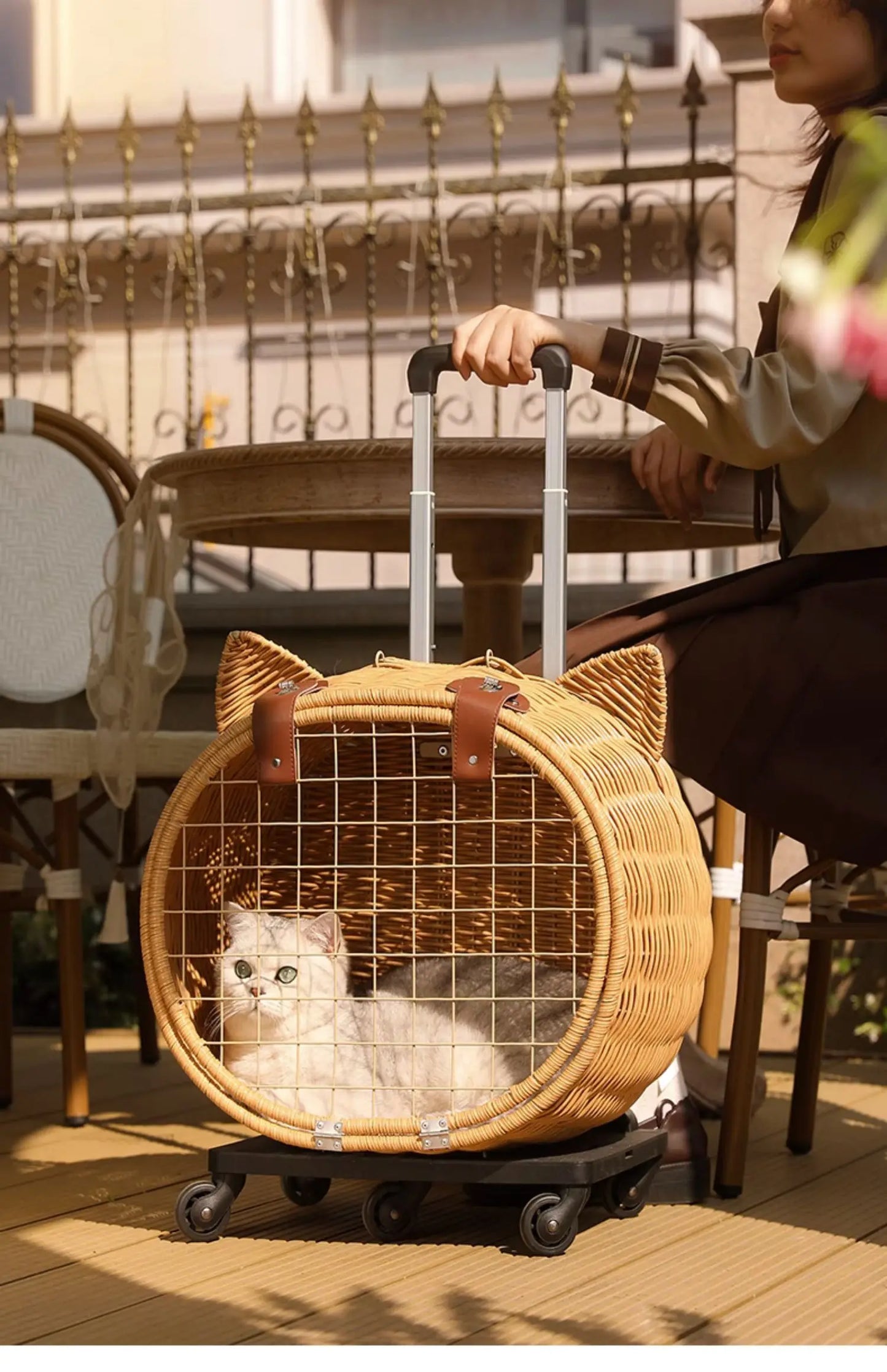 Rattan Cat Stroller Space Capsule Cat Carrier Large Pet Travel Bag for Cats & Dogs  Multi-Cat  Effortless Pet Stroller