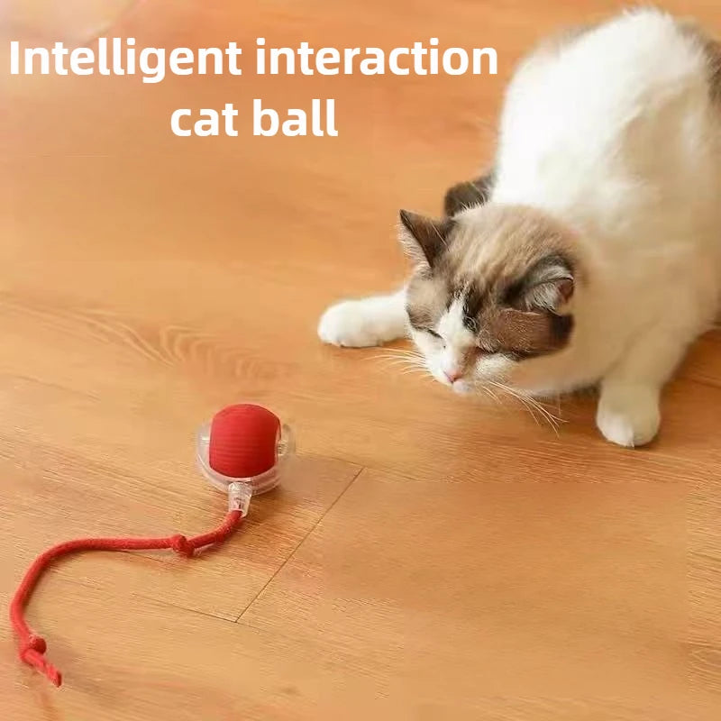 Smart Cat Interactive Ball, Automatic Rolling Ball with Tail, Rechargeable Smart Pet Interactive Toy, Intelligent Mouse for Cat