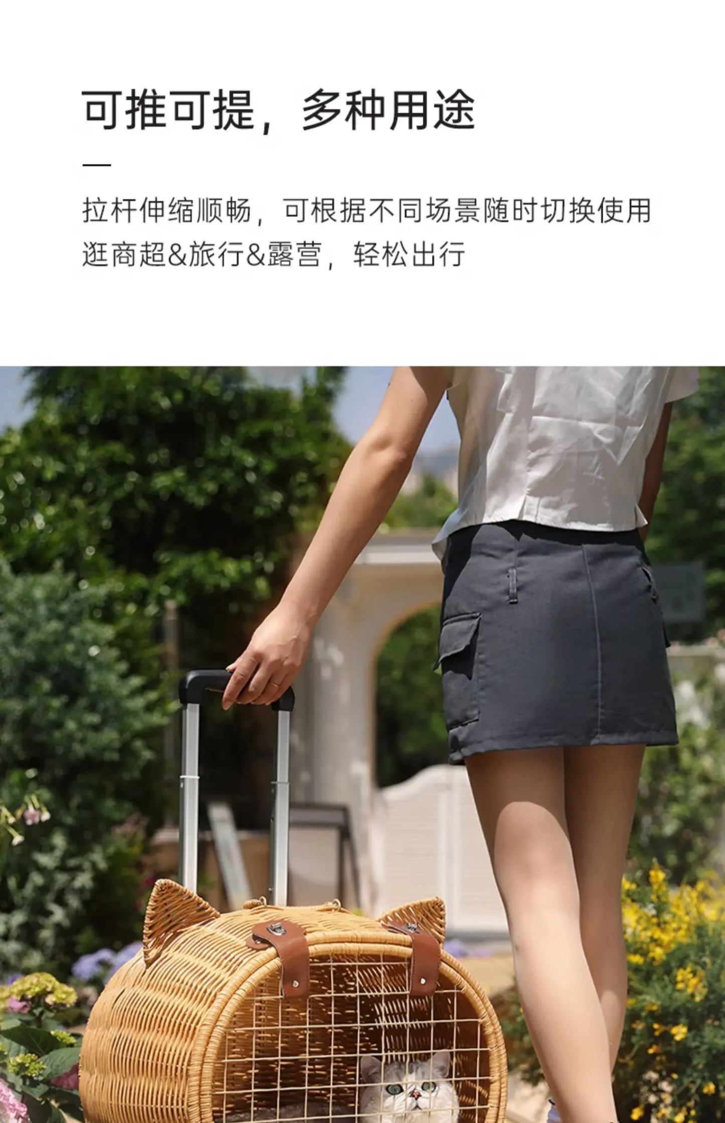 Rattan Cat Stroller Space Capsule Cat Carrier Large Pet Travel Bag for Cats & Dogs  Multi-Cat  Effortless Pet Stroller