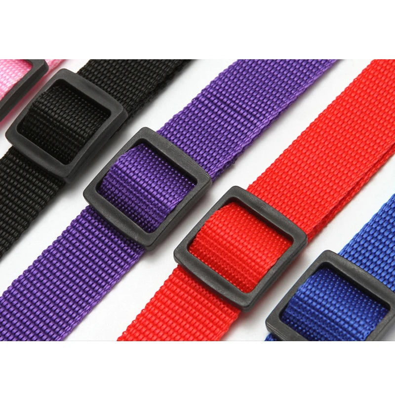 Solid Color Two-in-one Pet Car Nylon Seat Belt