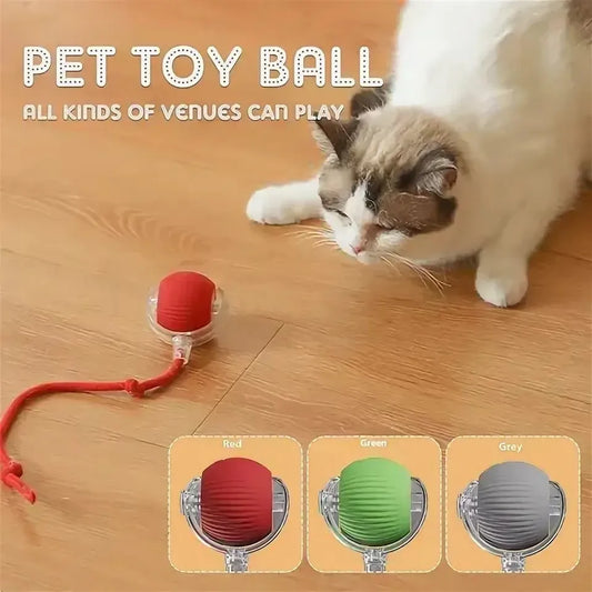 New interactive cat ball toy with automatic rolling ball simulation tail rechargeable intelligent pet electric toy