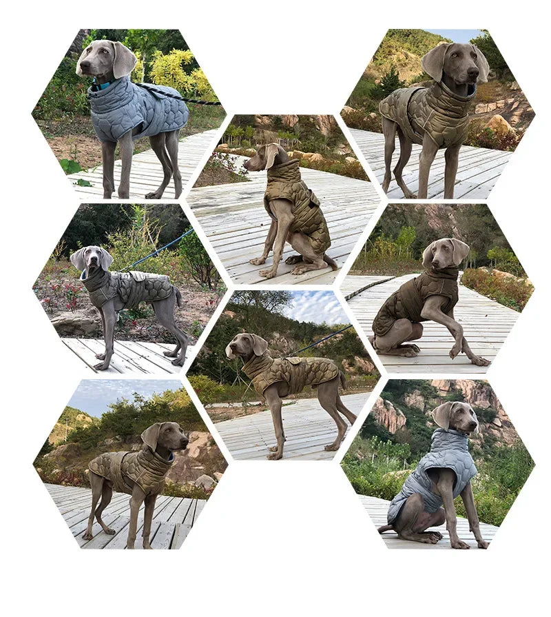 Big Dog Winter Coat Fleece Jacket