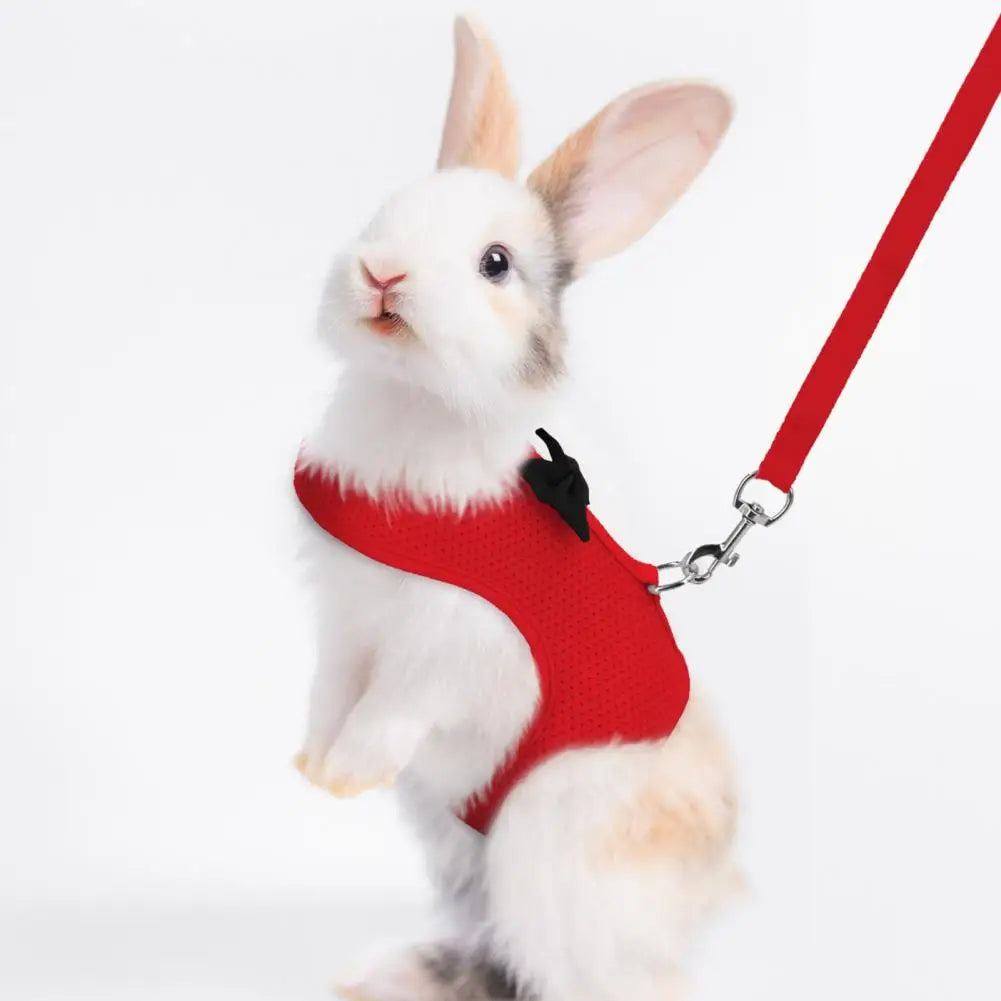 1 Set Pet Rabbit Harness Training Traction Leash Stylish Bow Decoration Small Pets Rabbit Traction Harness for Outdoor Walking