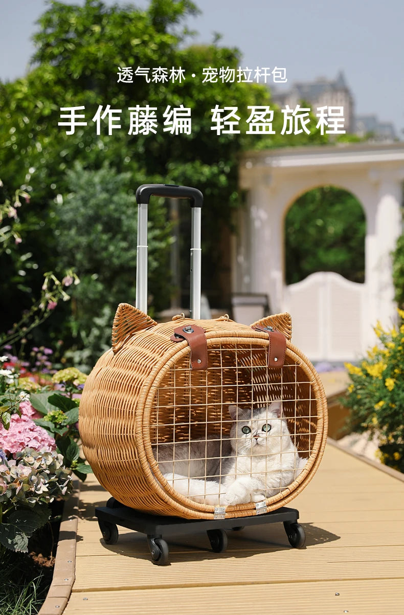 Rattan Cat Stroller Space Capsule Cat Carrier Large Pet Travel Bag for Cats & Dogs  Multi-Cat  Effortless Pet Stroller