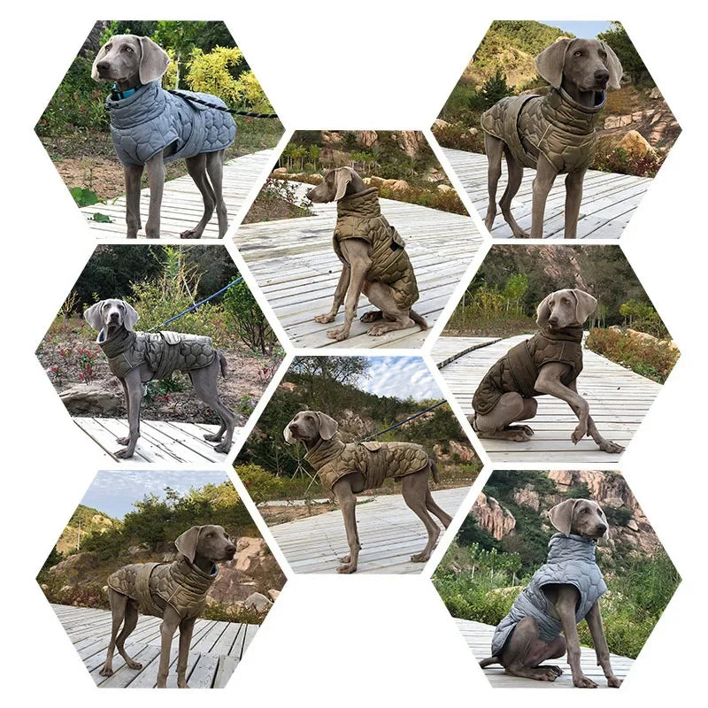 Big Dog Winter Coat Fleece Jacket