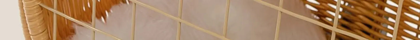 Rattan Cat Stroller Space Capsule Cat Carrier Large Pet Travel Bag for Cats & Dogs  Multi-Cat  Effortless Pet Stroller