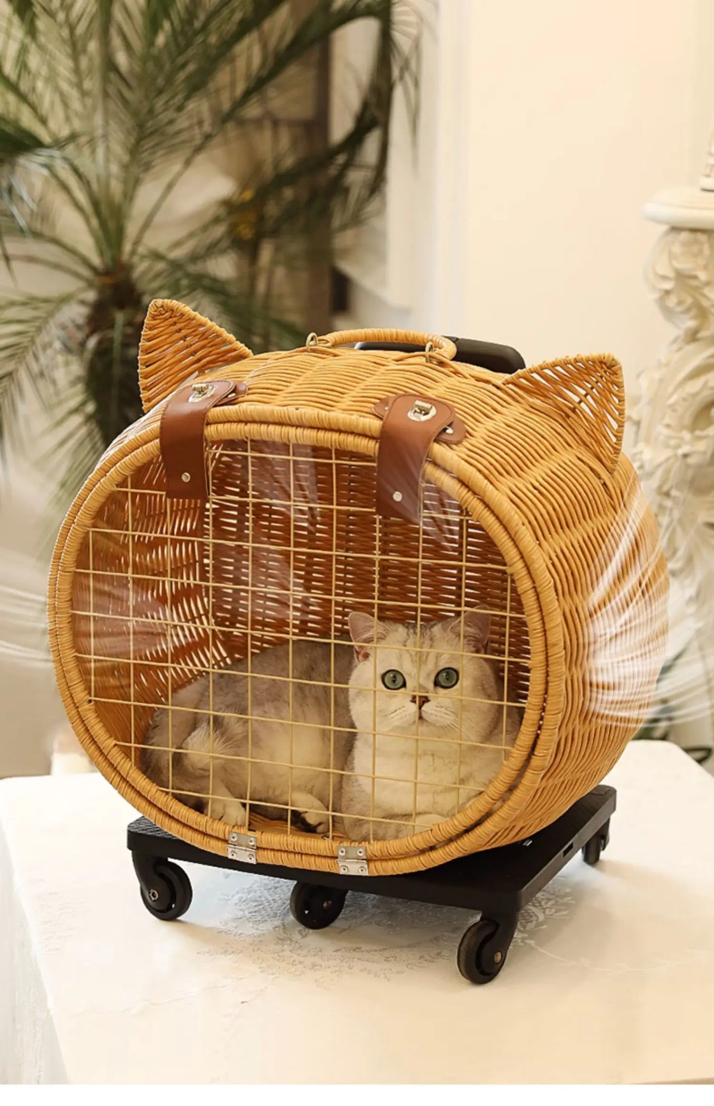 Rattan Cat Stroller Space Capsule Cat Carrier Large Pet Travel Bag for Cats & Dogs  Multi-Cat  Effortless Pet Stroller