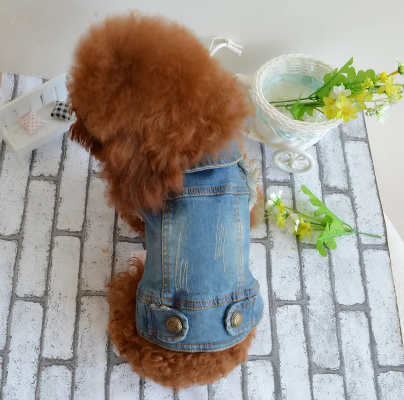 Dogs and Cats Jean Jacket Vest