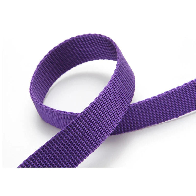 Solid Color Two-in-one Pet Car Nylon Seat Belt