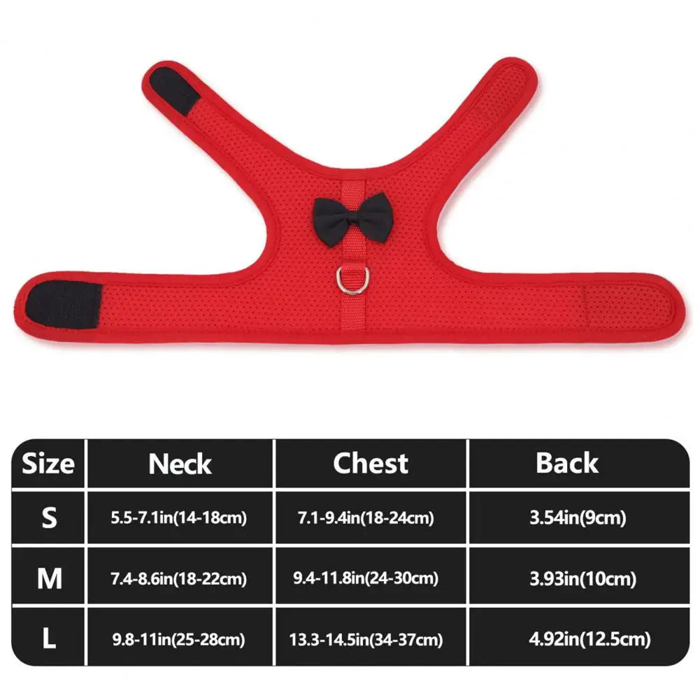 1 Set Pet Rabbit Harness Training Traction Leash Stylish Bow Decoration Small Pets Rabbit Traction Harness for Outdoor Walking