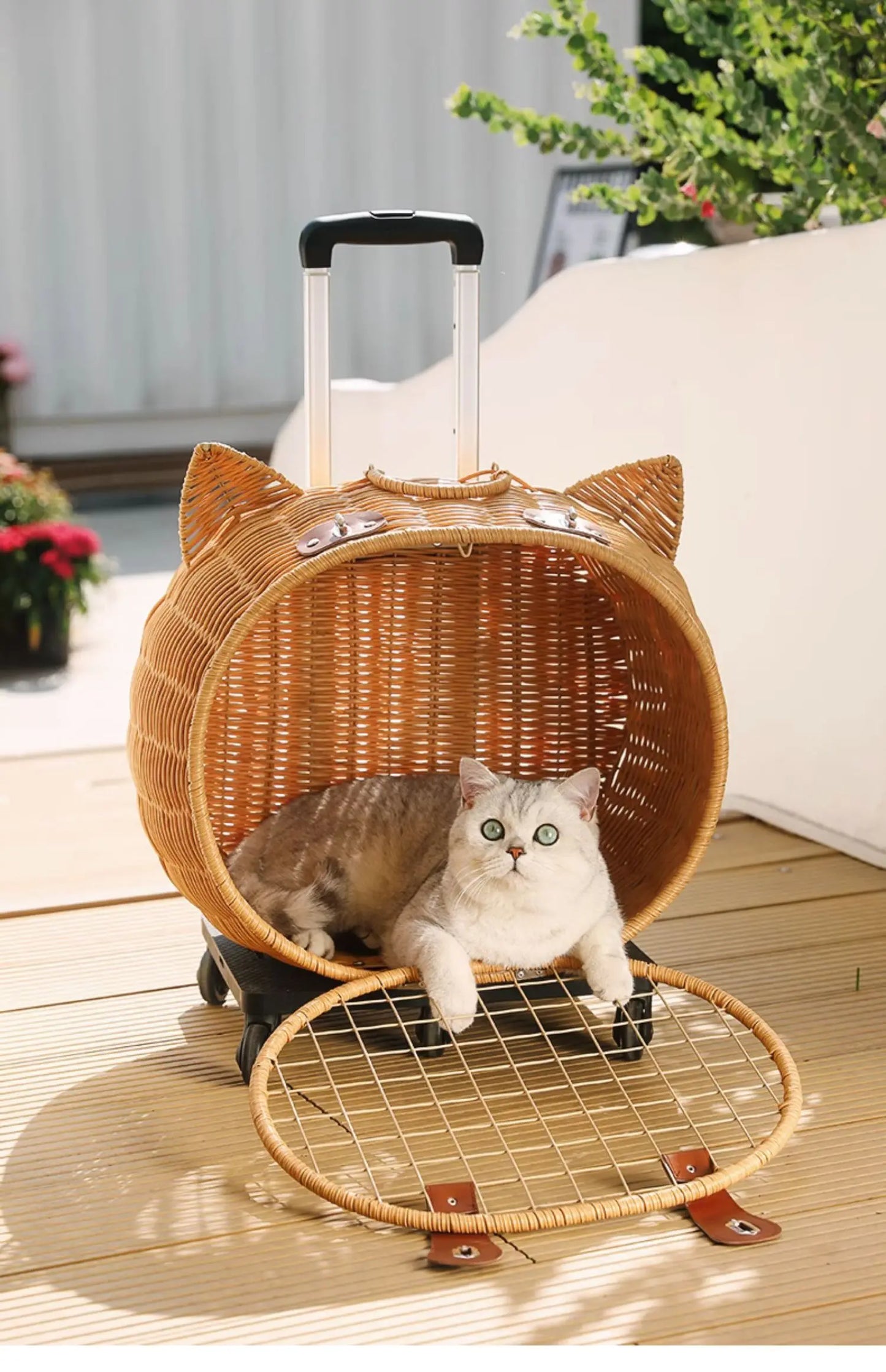 Rattan Cat Stroller Space Capsule Cat Carrier Large Pet Travel Bag for Cats & Dogs  Multi-Cat  Effortless Pet Stroller