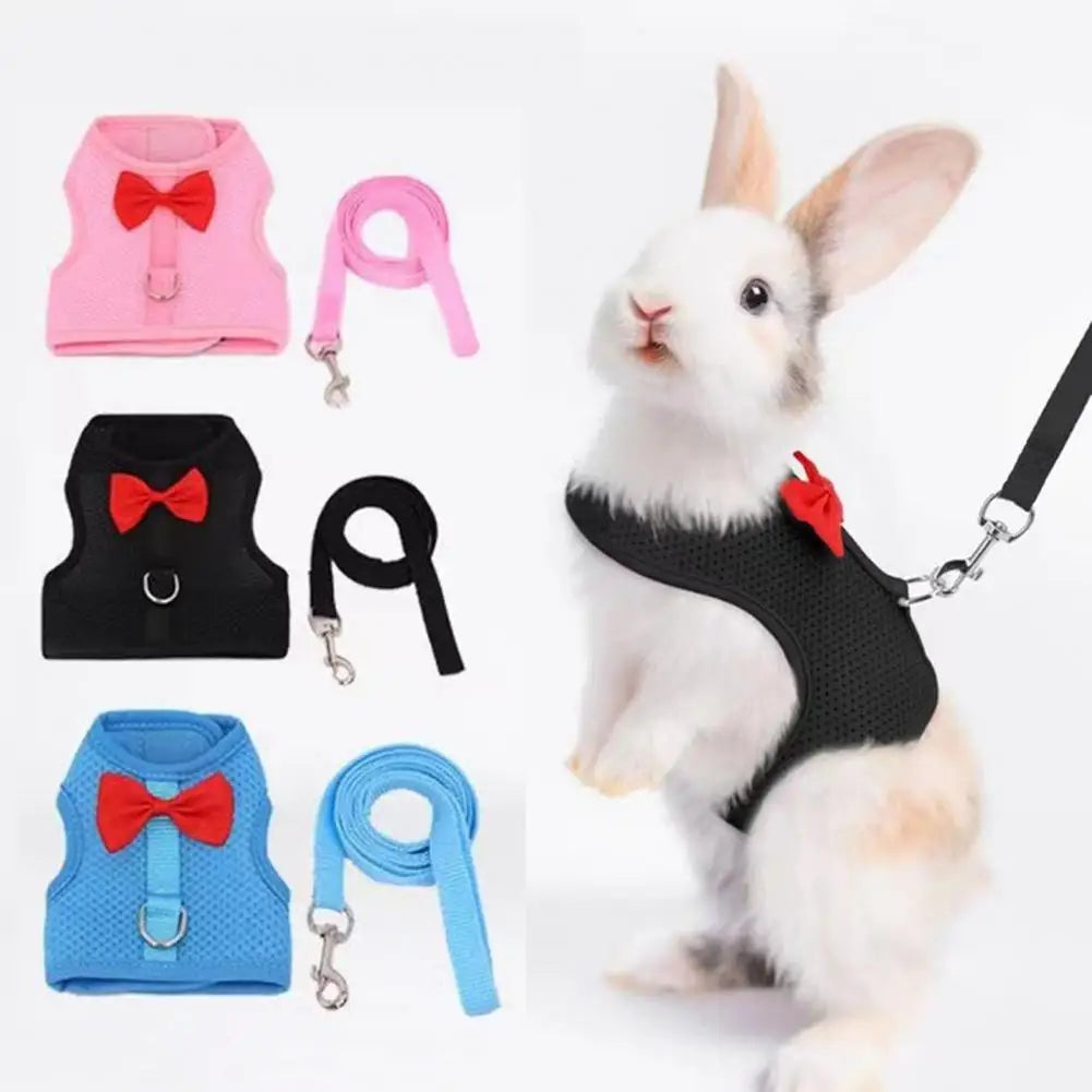 1 Set Pet Rabbit Harness Training Traction Leash Stylish Bow Decoration Small Pets Rabbit Traction Harness for Outdoor Walking