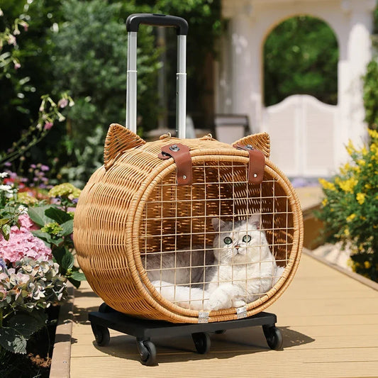 Rattan Cat Stroller Space Capsule Cat Carrier Large Pet Travel Bag for Cats & Dogs  Multi-Cat  Effortless Pet Stroller