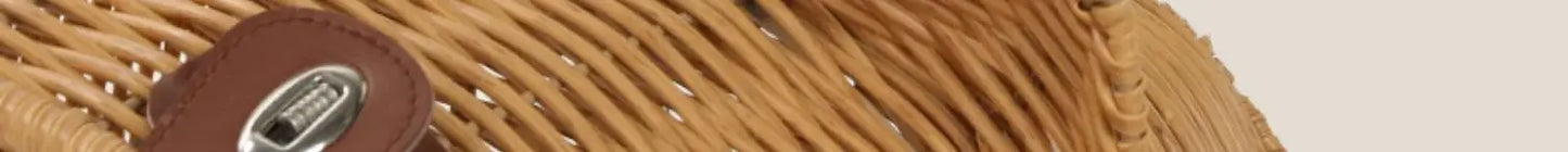 Rattan Cat Stroller Space Capsule Cat Carrier Large Pet Travel Bag for Cats & Dogs  Multi-Cat  Effortless Pet Stroller