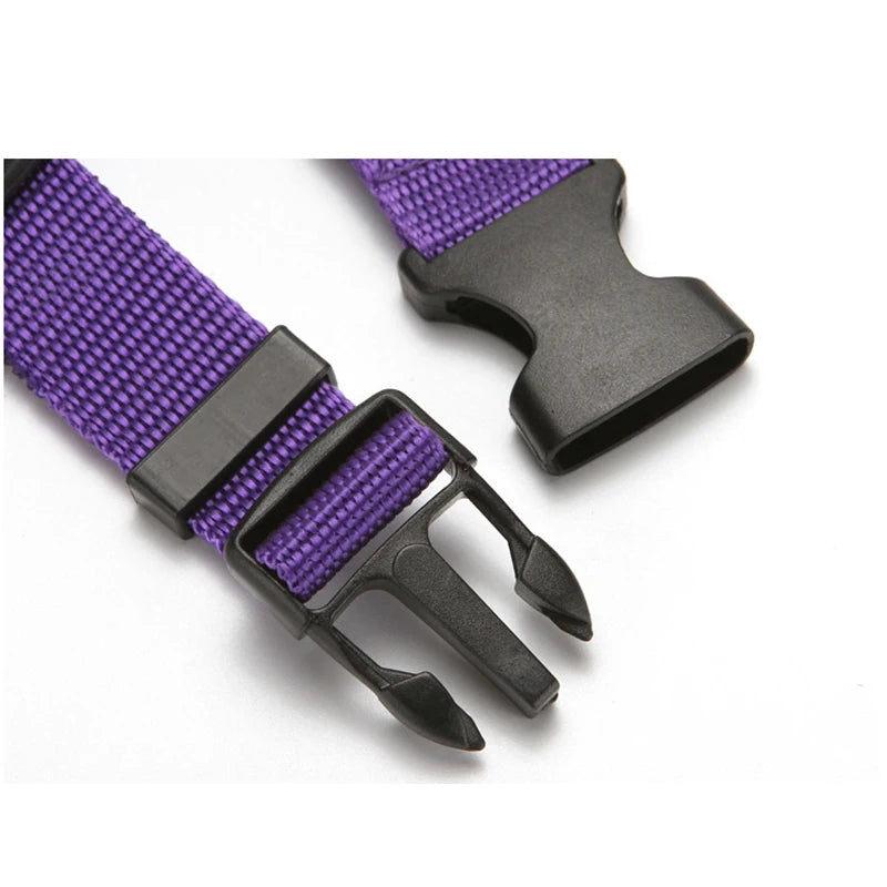 Solid Color Two-in-one Pet Car Nylon Seat Belt