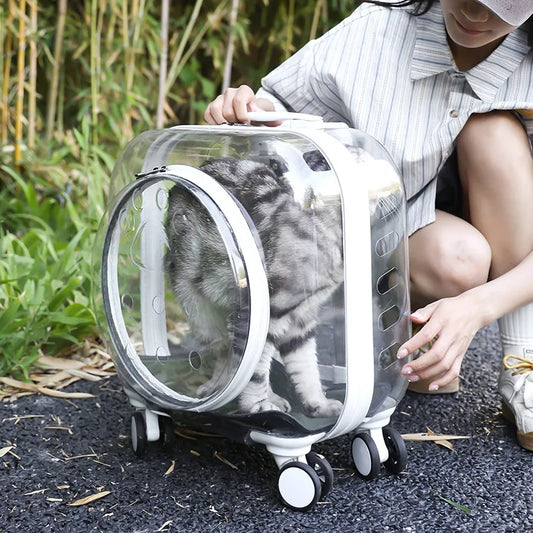 Transparent Pet Stroller with Wheels Lightweight Cat Carriers Breathable Space Capsule for Small Cats and Dogs Rolling Pet Cage