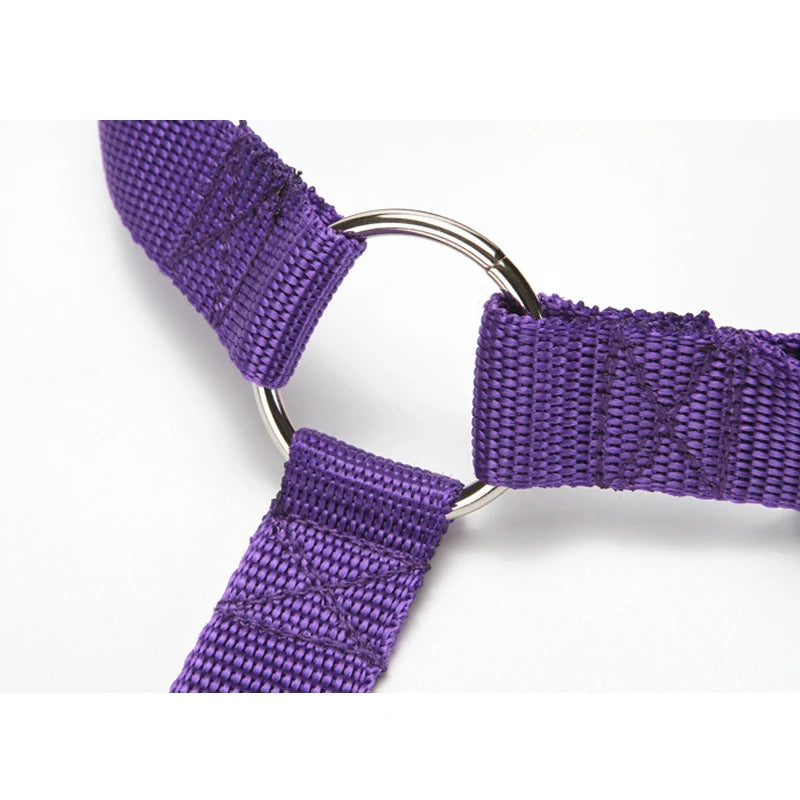 Solid Color Two-in-one Pet Car Nylon Seat Belt