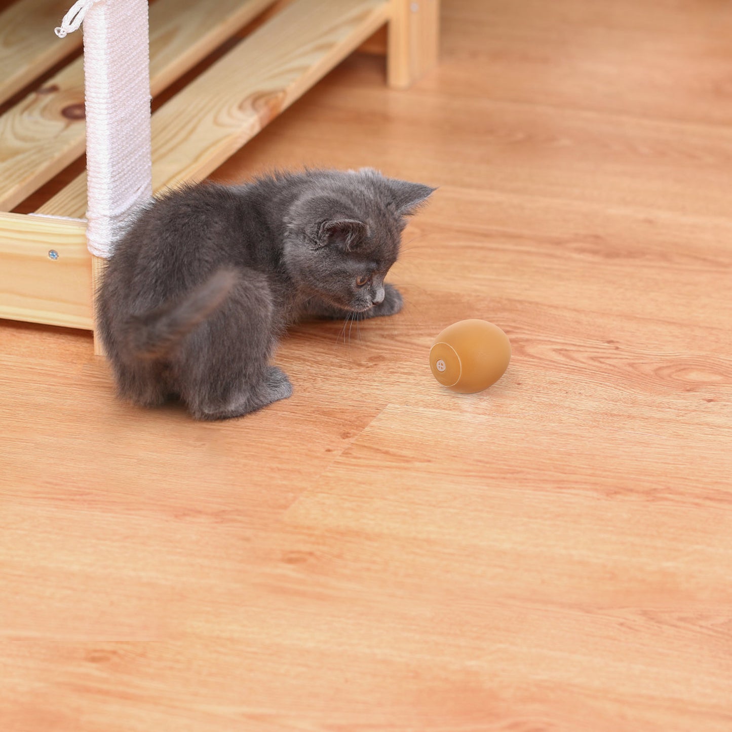 5 Pcs Safe Vinyl Squeaky Dog Egg Toy Puppy Squeaky Toys Funny Chewing Interactive Dog Toys Egg Shaped Dog Squeaky Dog Toy For